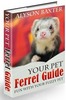 Thumbnail Your Pet Ferret Guide