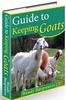 Thumbnail Guide to Keeping Goats