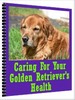 Thumbnail Caring For Your Golden Retriever s Health