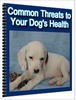 Thumbnail Common Threats To Your Dog s Health