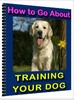 Thumbnail How to Go About Training Your Dog