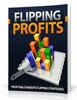 Thumbnail Flipping Profits