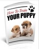 Thumbnail How To Train Your Puppy Thumbnail How To Train Your Puppy