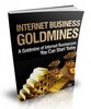 Thumbnail Internet Business Goldmines