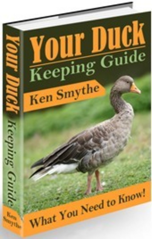 Product picture Your Duck Keeping Guide