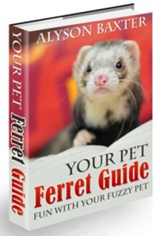 Product picture Your Pet Ferret Guide