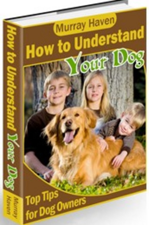 Product picture How to Understand Your Dog