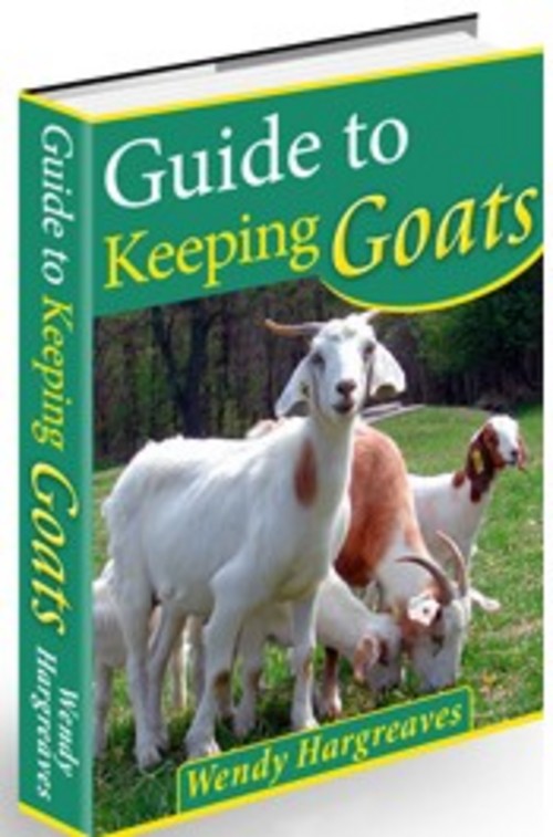 Product picture Guide to Keeping Goats