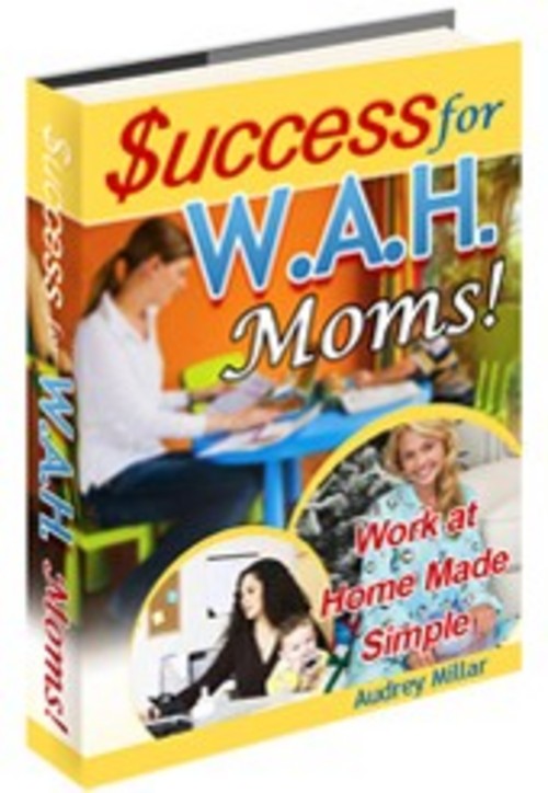Product picture Success for W A H Moms