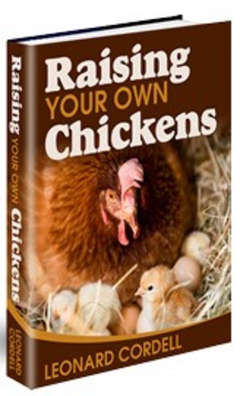 Product picture Raising Your Own Chickens