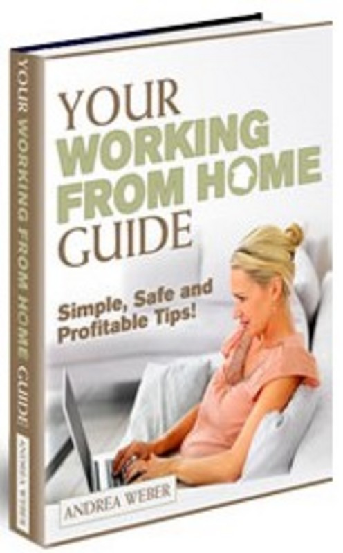 Product picture Your Working From Home Guide