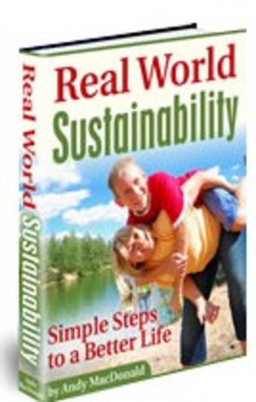 Product picture Real World Sustainability 