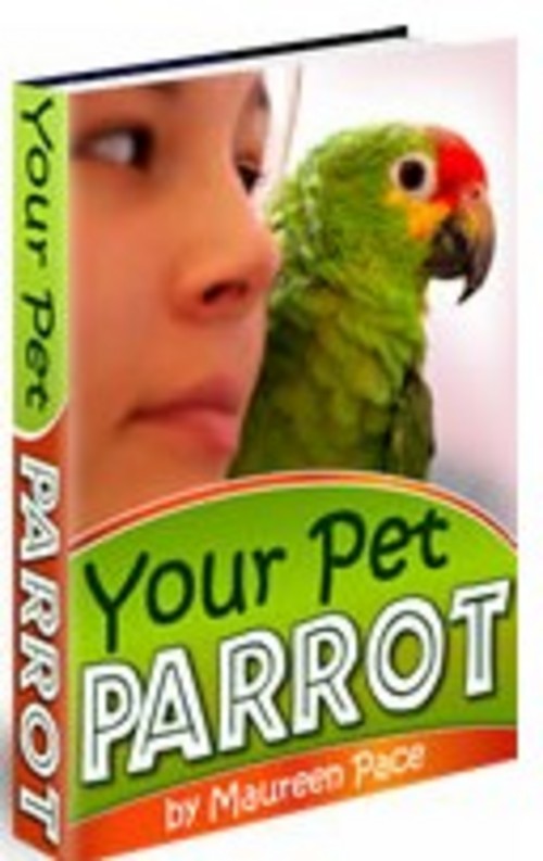 Product picture Your Pet Parrot