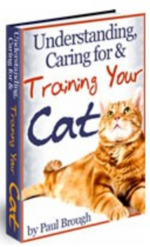 Product picture Understanding, Caring For And Training Your Cat