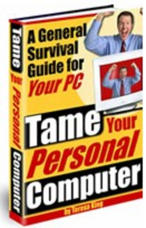 Product picture Handywoman  Home Repairs