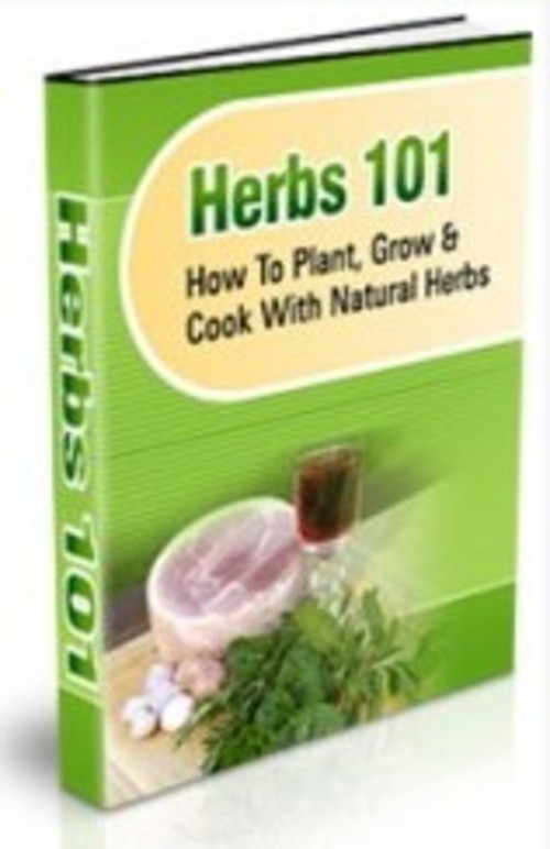 Product picture Herbs 101
