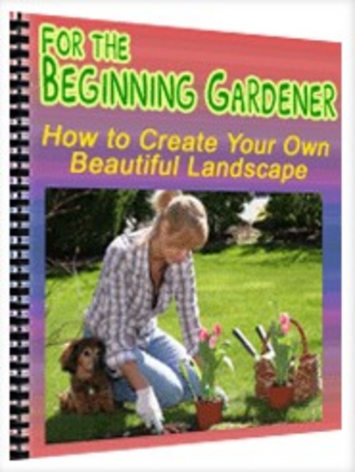 Product picture How to Create Your Own Beautiful Landscape