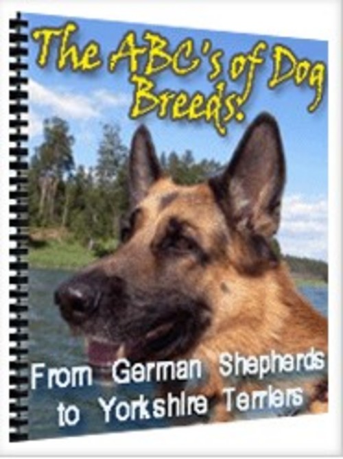 Product picture The ABC s Of Dog Breeds 