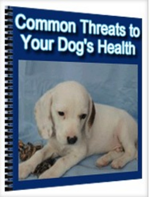 Product picture Common Threats To Your Dog s Health
