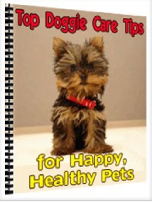Product picture Top Doggie Care Tips