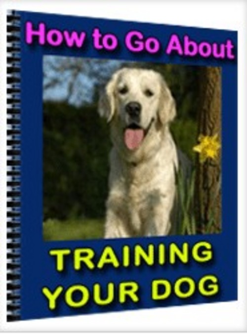 Product picture How to Go About Training Your Dog