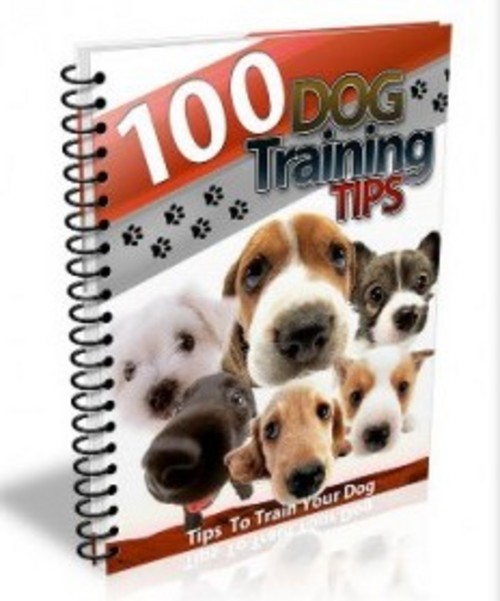 Product picture 100 Dog Training Tips