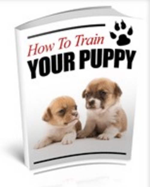 Product picture How To Train Your Puppy